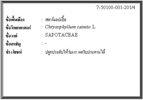 กล่องข้อความ: 7-50100-001-201/4 ชื่อพื้นเมือง : สตาร์แอปเปิ้ล ชื่อวิทยาศาสตร์ : Chrysophyllum cainito L. ชื่อวงศ์ : SAPOTACEAE ชื่อสามัญ : - ประโยชน์ : ปลูกประดับให้ร่มเงา ผลรับประทานได้
